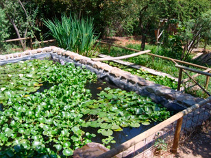 GEMAT Tratamiento de Aguas,Tratamiento riles, Eliminacion de olores